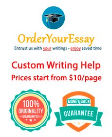Essay Writer Help